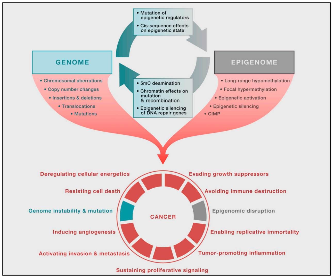 DNA Methylation Arrays: Principles, Technologies, and Applications